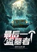 最后一个盗墓者有声在线收听