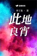 此地良宵txt