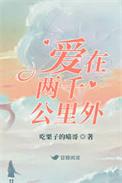 爱在两千公里外 txt