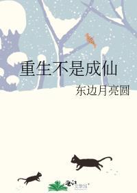 歌词重生不是一个假象