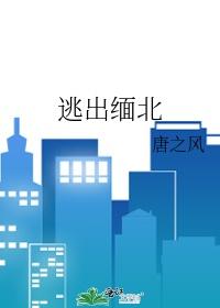 逃出缅北演员表