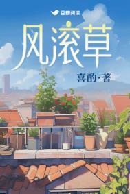 风滚草启发science子刊封面