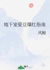 地下爱豆在线