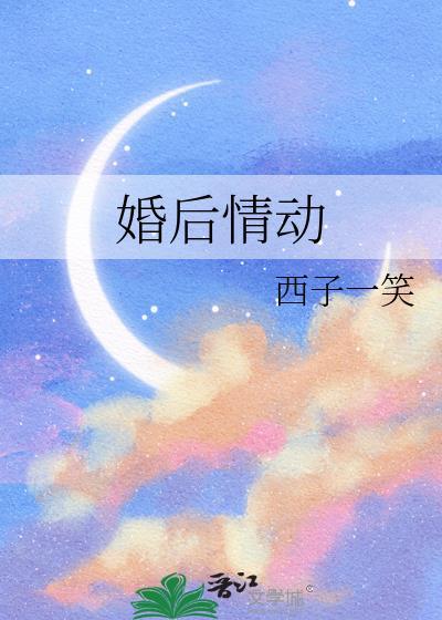 婚后情动作者西子一笑txt