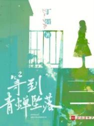 等到青蝉坠落免费阅读丁墨