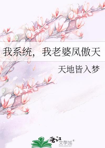 我老婆凤傲天讲的什么