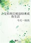 上交系统后被迫结束咸鱼生涯