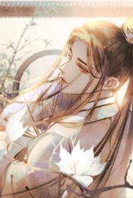 25. 红楼之林家有子