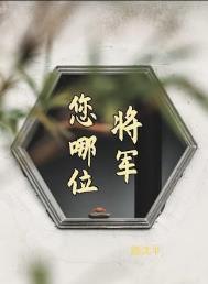 穆总是哪位将军