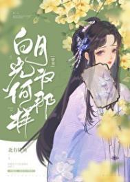穿成男频文白月光方冉