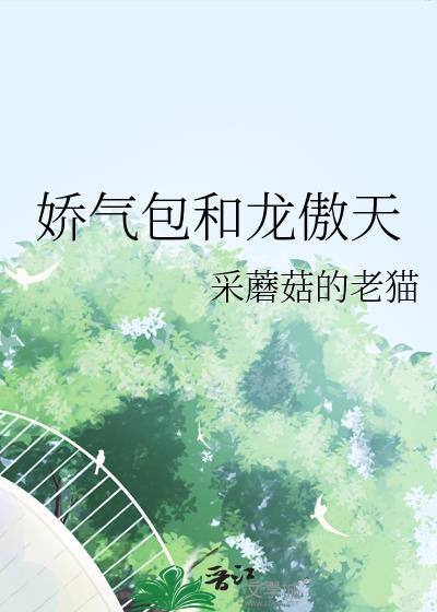 娇气包能以一敌百无防盗