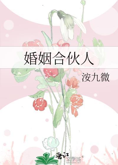 婚姻合伙人by洝九微