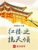 红楼之挽天倾6.0加料重制版