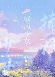 捕风讲什么