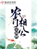 农门相公是锦鲤晋江
