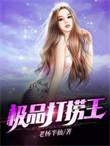 极品打捞王完结全本