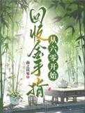 金手指回收系统[快穿