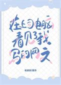 上司电脑上看见了我写的网文