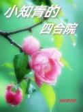 知青小媳妇作者雁北月