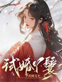 试婚丫鬟顾清欢