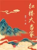 红楼大当家沈柠