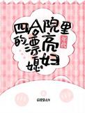 四合院细节