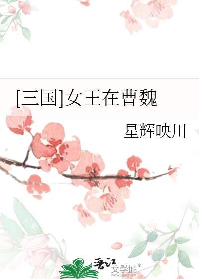 圣三国曹魏传
