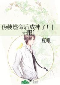 伪装是啥