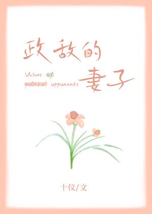 政敌的妻子十仪免费全文阅读