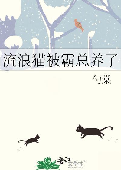 被流浪猫跟着怎么办