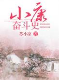 小康的历史进程