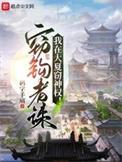 我在大夏窃神权好看吗