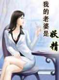 我的老婆是妖精主角叶景天是什么书