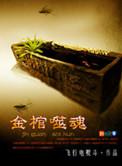 金棺噬魂mp3