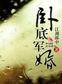 卧底军统的