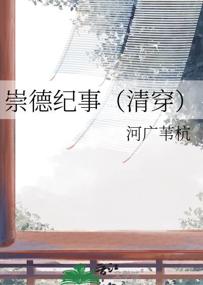 清朝崇德是谁