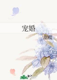 宠婚许又安周自横