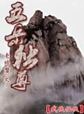 五岳独尊多少钱