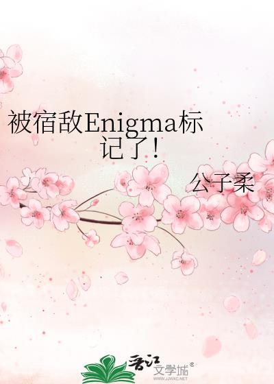 被宿敌enigma标记了!番外txt