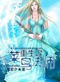 白帝重生法师