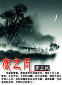 夜之月是什么意思