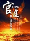 从镇委大院开始红尘小吏