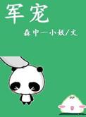 军宠(军旅高干) 作者森中一小妖百度
