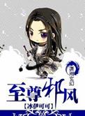 至尊邪风简介