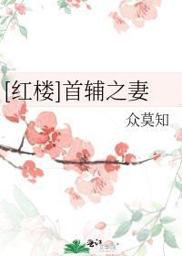 红楼首辅之妻众莫知全文阅读