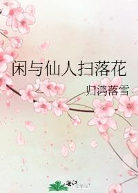 闲与仙人扫落花完结了吗