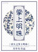 掌上明珠章节