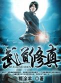 武道修仙完本