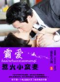 霸爱惹火小蛮妻讲的啥故事