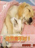 这节奏不对!